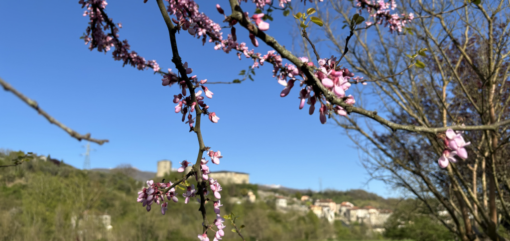 Italian Spring vocabulary